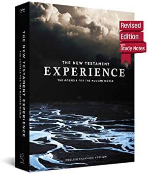 The New Testament Experience: The Gospels for the Modern World