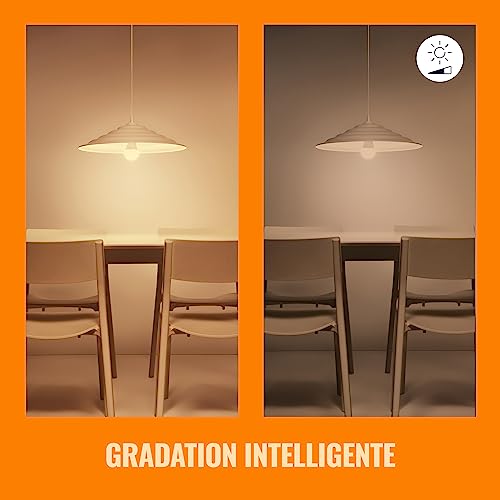 , Kit de démarrage Space Sense, 3 ampoules Wi-Fi Nuances de blanc E27 équivalent 60W, fonctionne avec Alexa, Google Assistant