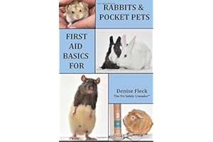First Aid Basics for Rabbits & Pocket Pets