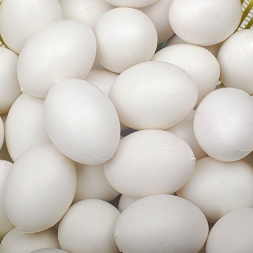 Wode 10pcs Solid Plastic Eggs Dummy Eggs For pigeons white