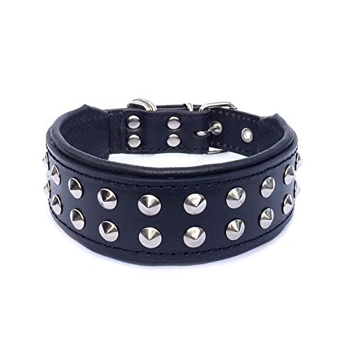 Bestia "Boston Genuine Leather Dog Collar. Studded And Soft Padded on the inside.