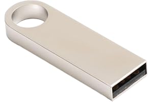 WIXUIPR 32G Flash Drive Easy to and Suitable for Storage and Transfer USB Flash Drive Metal USB Waterproof Shockproof, Silver