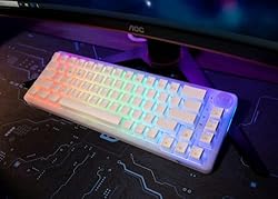 GK GAMAKAY LK67 65% RGB Pudding Mechanical Keyboard