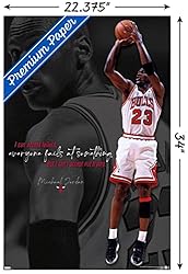 Trends International Michael Jordan - Can't Accept
