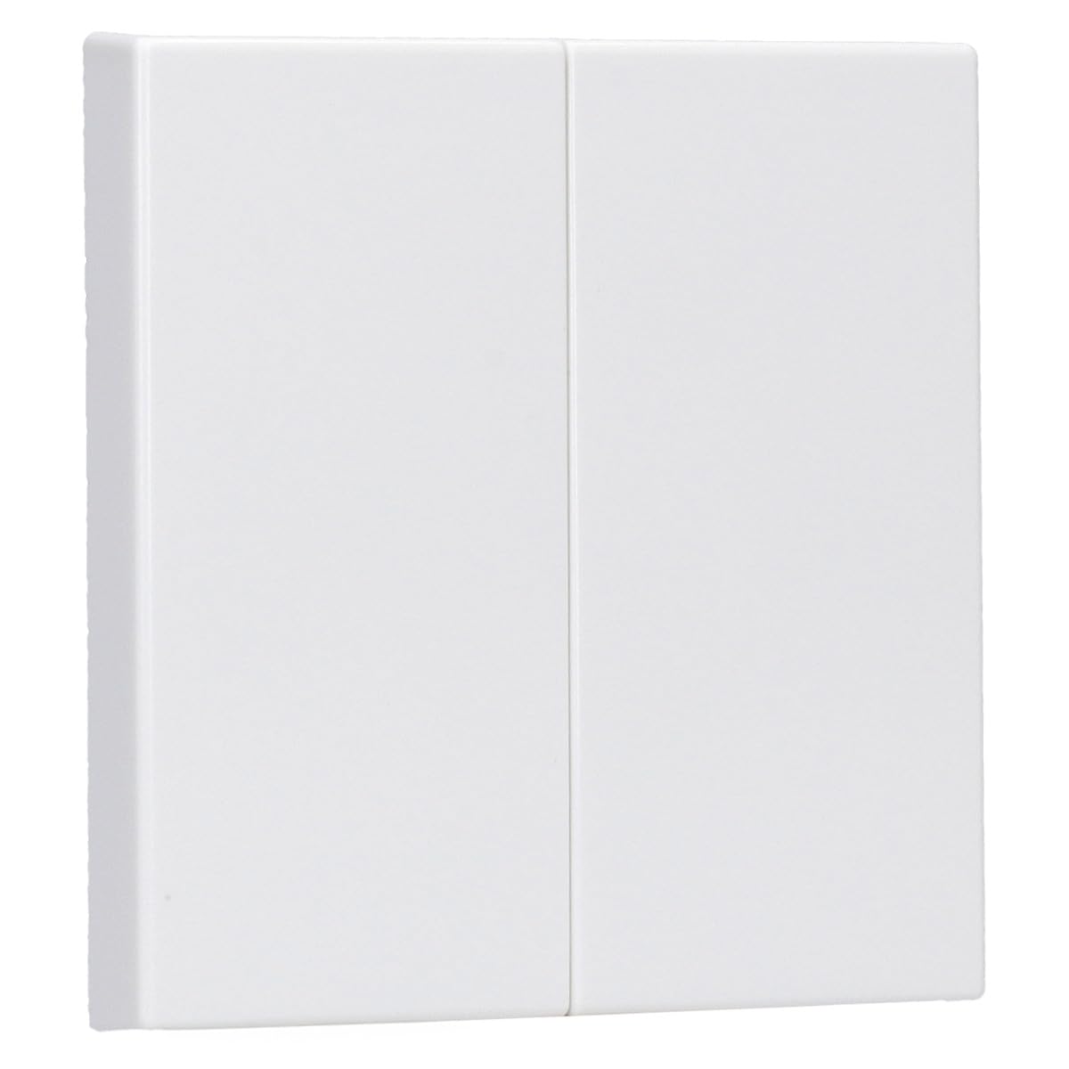 Jung LS995WW Rocker for Series Switch