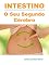 Livro INTESTINO: O Seu Segundo Cérebro.: Descubra a Importância do Seu Intestino na Prevenção de Infecções. E como ele pode te ajudar a Emagrecer e a Melhorar o seu Humor.