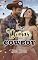 Livro Como Domar um Cowboy
