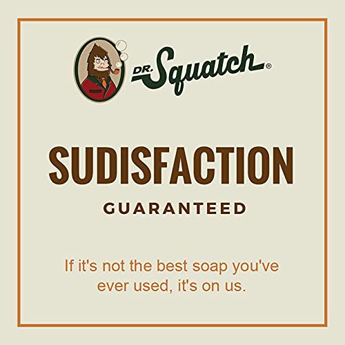 DR. SQUATCH ALL NATURAL BAR SOAP FOR MEN WITH ZERO GRIT, ALPINE SAGE