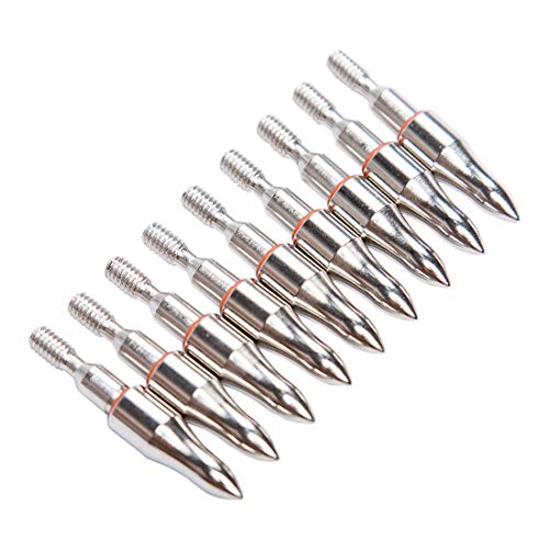 Pinals Archery 19/64" 100 Grain Field Points Tips Target and .244/6.2mm