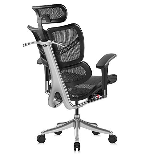 MOOJIRS Ergonomic Office Chair with Headrest Adj and Tilt Limiter