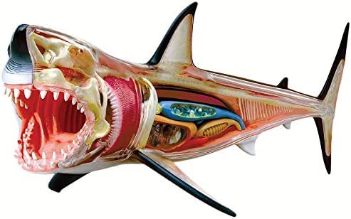 TEDCO 4D Vision Great White Shark Puzzles for Ages 8 to 12