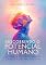Livro Descobrindo o Potencial Humano: A Magia da Abordagem Centrada na Pessoa