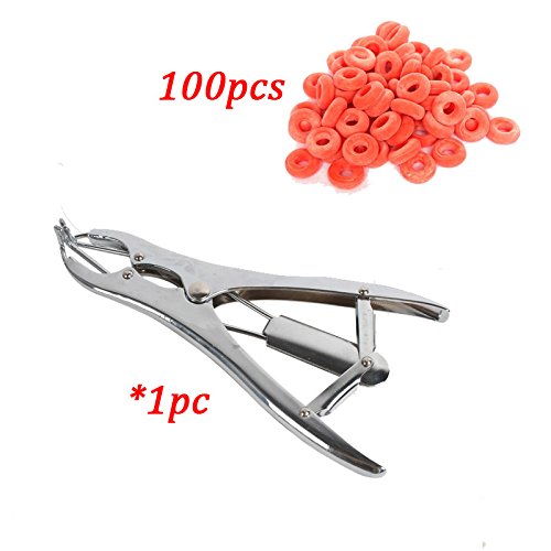 Buy Stainless steel Pigs Sheep Castration Pliers Dilation Forceps