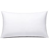 JIEITIVE Throw Pillow Inserts Hypoallergenic Premium Pillow Stuffer Rectangle Lumbar Pillow for Decorative Pillow Covers Cushion Set of 1-12 x 20 Inches