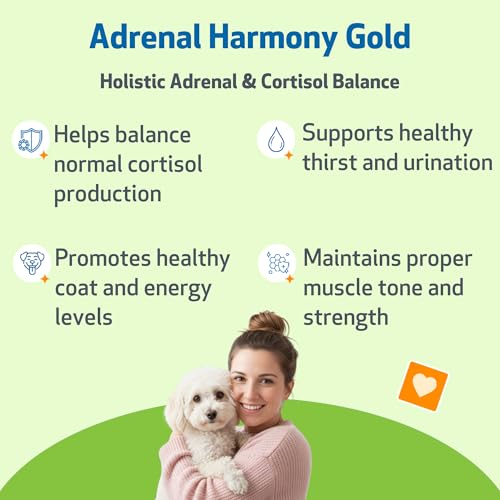 Pet Wellbeing - Adrenal Harmony Gold for Dogs - Natural Support for Adrenal Dysfunction and Cushing's - 2 oz (59 ml)