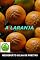 Livro A Laranja