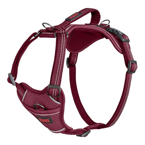 Halti Anatomy Dog Harness with Handle - Padded, Adjustable & Reflective No Pull…