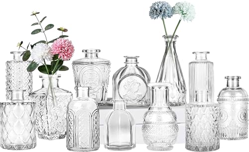 Glass Flower Vase, 12 Pack Small Flowers Vases Set, Mini Bud Plant Pots for Table Decoration & Centerpieces & Wedding, Vintage Bottle for Outdoor and Home Decor, صغيرة زجاج فازات, (Clear)