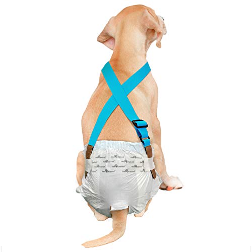 Pañal para bulldog francés con tirantes: Pañales para perros Garden Party para el calor - España
