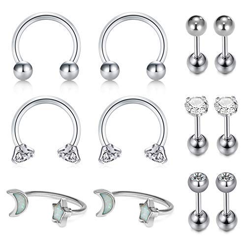 AceFun 16G(1.2mm) Tragus Cartilage Rook Earrings-Septum Rings Hoop Piercing Helix Daith Earrings Steel Body Piercing Studs Jewelry Silver Set