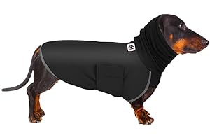 GZDDG Dachshund Raincoat, Dachshund Clothes for Dog, Dachshund Coat, Dachshund Winter Coat, Dachshund Raincoat Waterproof, Coat Miniature Dachshund, Miniature Dachshund Raincoat for Small Dog (M, Black)