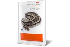 imagitarium Frozen XL Mouse, Count of 10