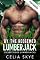 Livro Curada pelo lenhador redimido (Lenhadores de Silver Ridge Livro 6)