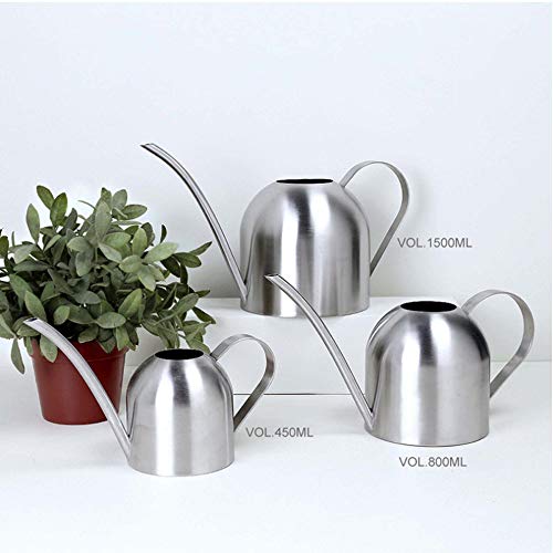 Watering Can Indoor Plants,1500ml/50oz Silver Long Spout Stainless Steel Decorative Sturdy Metal