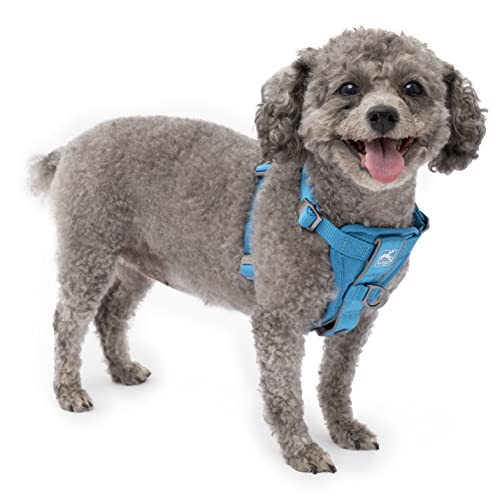 Kurgo Tru-Fit Smart Harness, Blue, Small