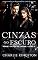 Livro Cinzas no escuro (VÍCIOS DA CARNE Livro 3)