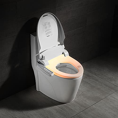 TSUGAMI Smart Bidet Toilet Seat With Warm Water, Warm Air Dryer, Gentle