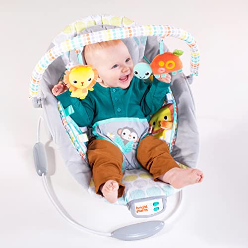 Bright Starts Comfy Baby Bouncer Soothing Vibrations Infant Seat