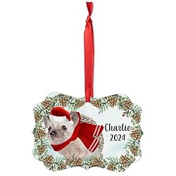 African Pygmy Hedgehog Christmas Ornament 2024