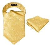 Alizeal Men's Paisley Ascot Tie Cravat Satin Self