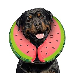 Dog Cone Collar for Small Medium Large Dogs for