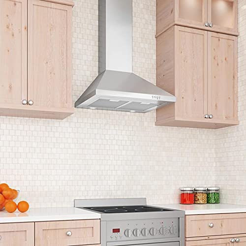 Ancona AN1166 WPP424 24" 450 CFM Convertible Wall Mount Range Hood in