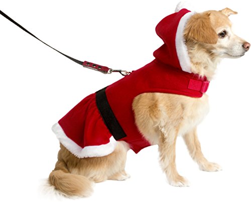 friends forever dog jacket