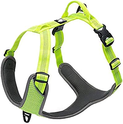 true love harness amazon
