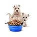 Collapsible Dog Bowl by Puss and Pooch, Easy Storage For Travel, Backpacking, Camping, and Hiking, Premium Silicone, FDA Approved, BPA Free, Eco-Friendly, With Carabiner, Set of 2