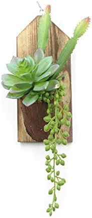 Velener Wall-Hanging Artificial Succulents in Wood Vase Home Decor (Green)