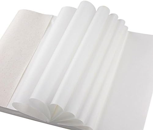 QJang 11.8x26.7" Handmade Chinese Xuan Rice Paper for Calligraphy Brush Writing Watercolor Sumi Drawing Kanji Painting Practice (100 Sheets)
