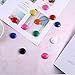 Patelai 48 Pieces Mini Fridge Magnets Round Magnetic Button Whiteboard Magnets Office Magnets, 8 Colors