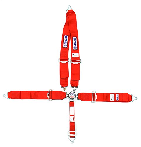 RJS Racing Equipment 1029304 Harness System