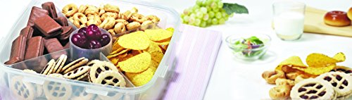 LOCK&LOCK HSM8440T Lock & Lock 32-Oz. Food Plastic Storage Container, 32 Ounce, Clear