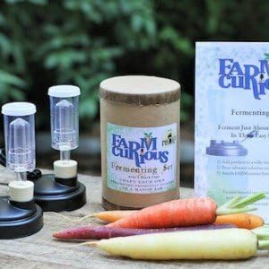 FARMcurious - Mason Jar Fermenting Kit - Mold Free - - Black by FARMcurious