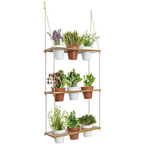 3 Tiered Hanging Planter Shelf with Pot Set, Wood Floating Herb Garden for Kitchen Counter, Vertical Succulent Hanger for Patio, Porch, Balcony, Boho Plant Shelves for Wall, Multi Tier Vertical Stand