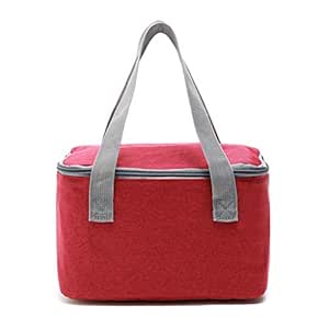 Manijas aisladas portátiles del Bolsa Isotermica, pequeña Caja ...