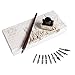 Hethrone Wooden Dip Pen Handcrafted Calligraphy Set with 11 Nibs & Black Ink
