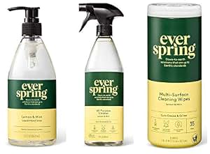 ever spring spray mop
