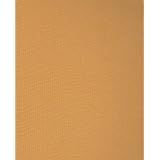 The Insect Societies (Belknap Press)